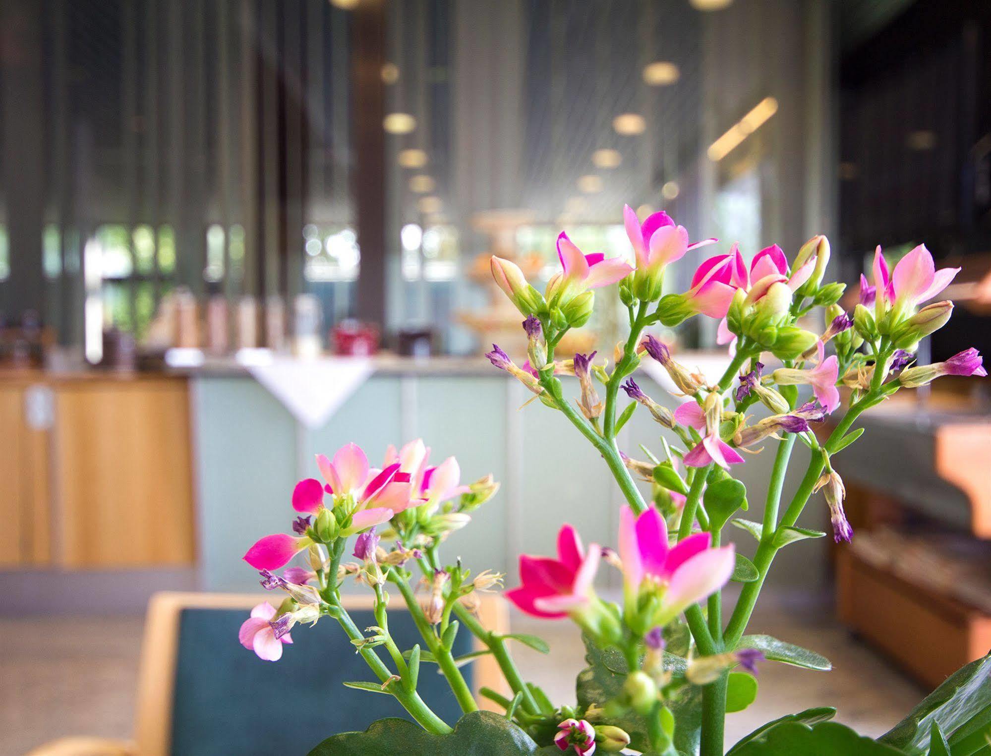 Seligweiler Hotel & Restaurant Elchingen Dış mekan fotoğraf